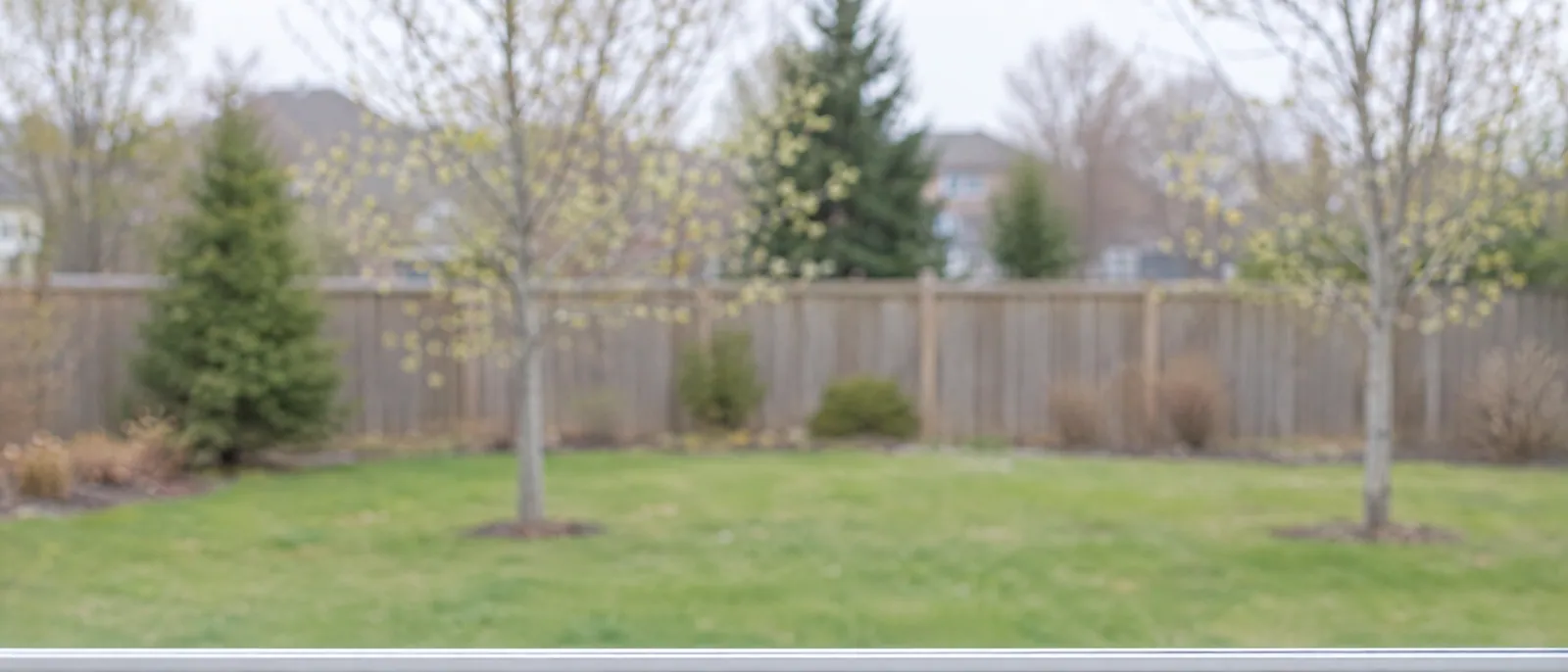 Soft-focus spring lawn and budding trees seen through clear window glass, a calm wide background